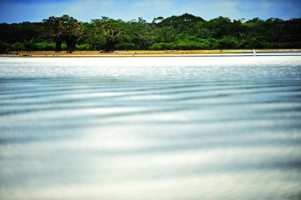Jamu Lodge Puerto Montufar Екстер'єр фото